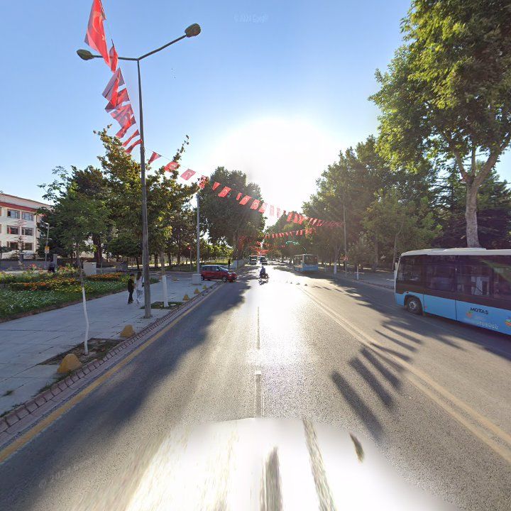 Fotoğraf 7