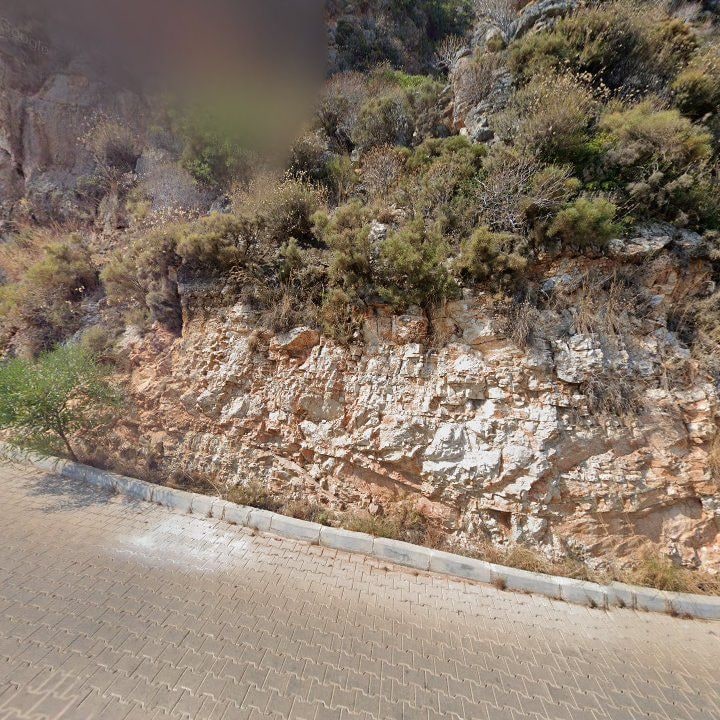 Fotoğraf 11
