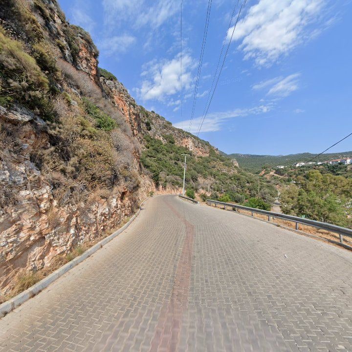 Fotoğraf 12