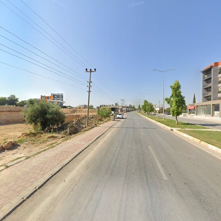 Fotoğraf 7