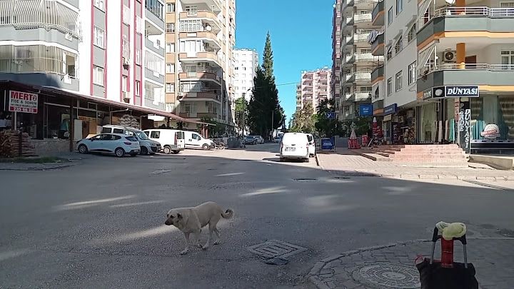 Fotoğraf 2