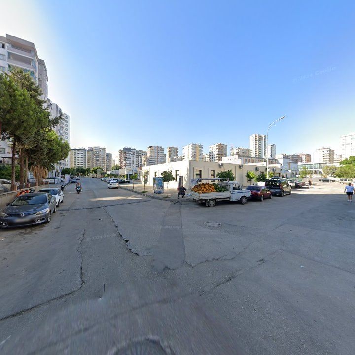 Fotoğraf 8