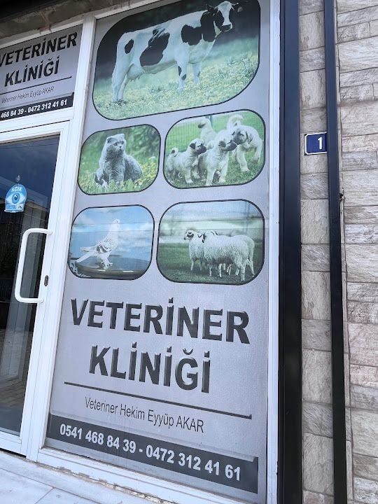 Mert Odun Ekmek Fırını