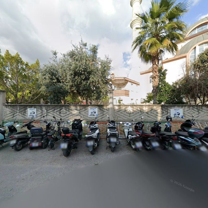 Fotoğraf 6