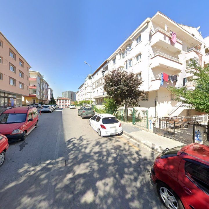 Fotoğraf 10