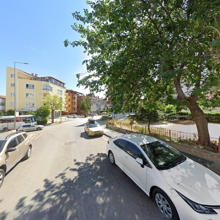 Fotoğraf 12