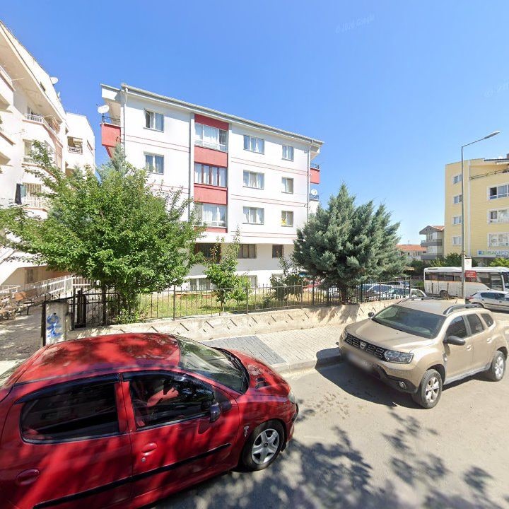 Fotoğraf 11