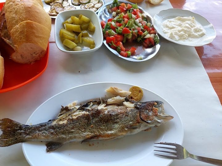 Meşeli Canlı Alabalık Tesisi