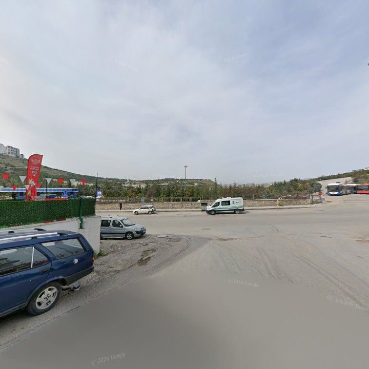 Fotoğraf 10