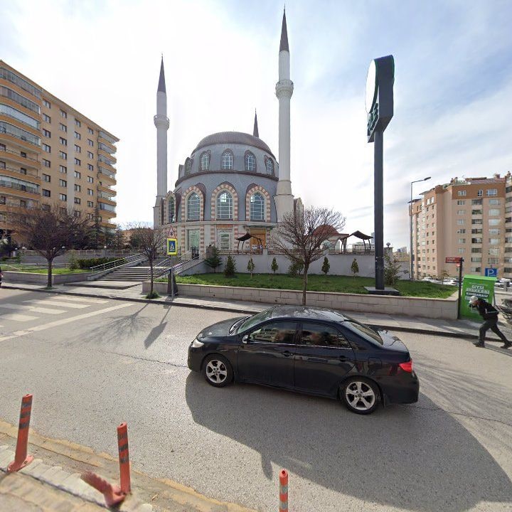 Fotoğraf 5