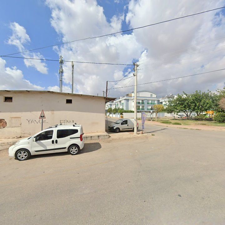 Fotoğraf 9