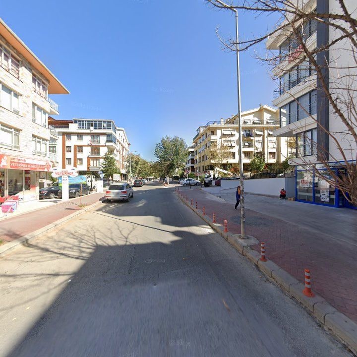 Fotoğraf 8