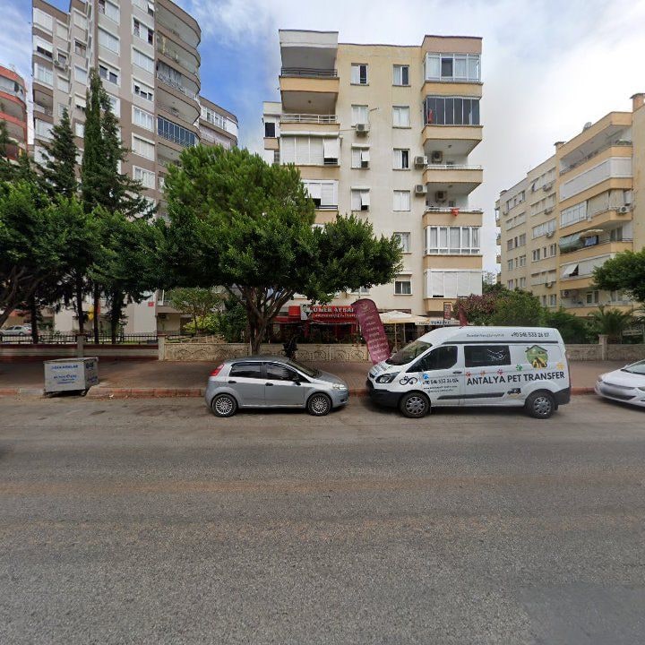 Fotoğraf 2