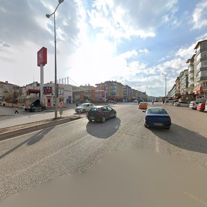 Fotoğraf 10