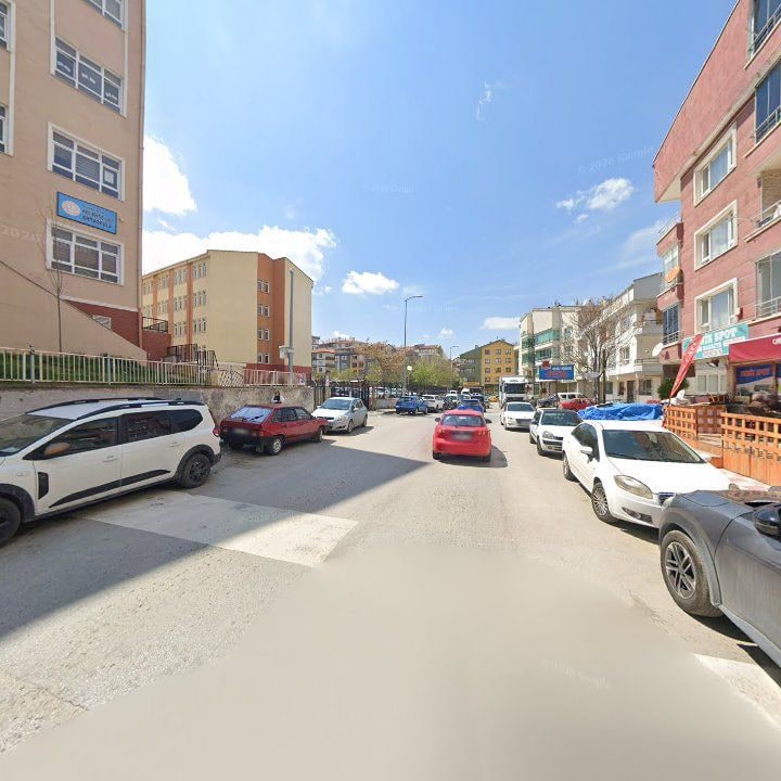 Fotoğraf 9