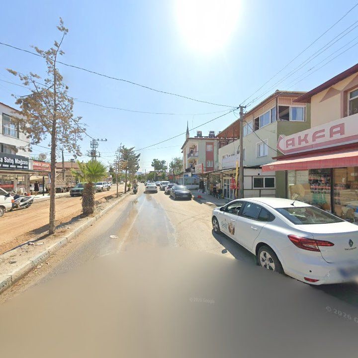 Fotoğraf 7