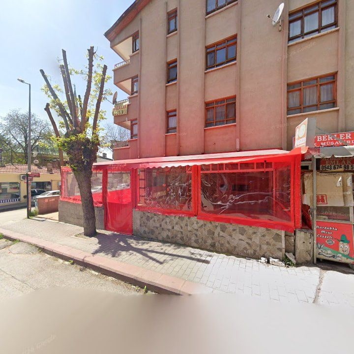 Fotoğraf 7
