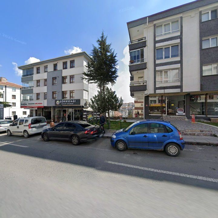 Fotoğraf 8