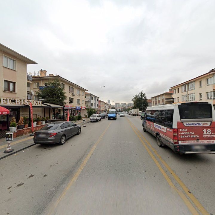 Fotoğraf 12