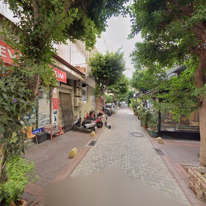 Fotoğraf 8