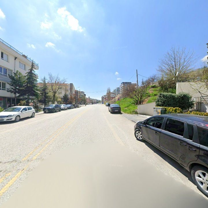 Fotoğraf 9