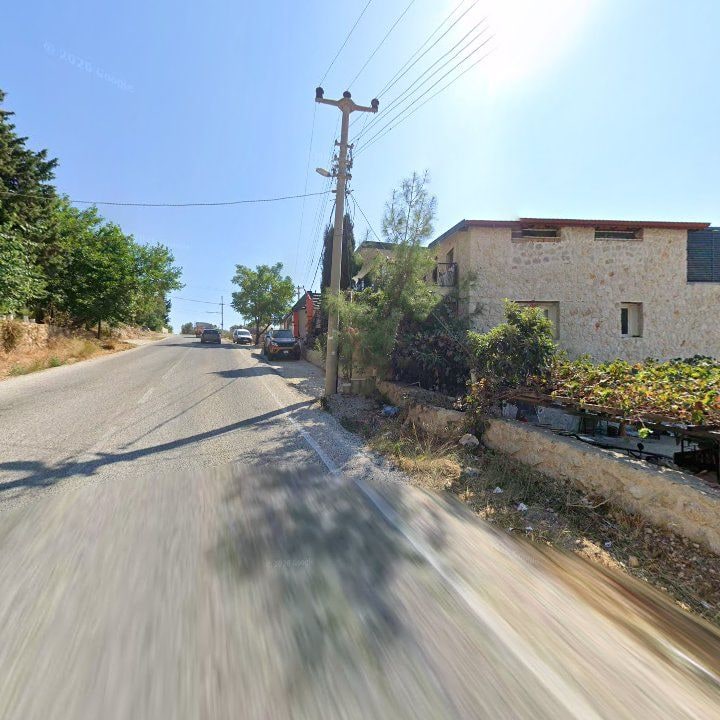 Fotoğraf 9