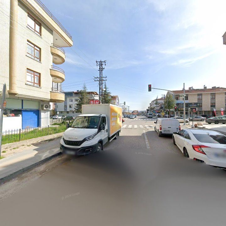 Fotoğraf 10