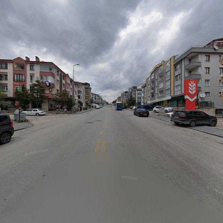 Fotoğraf 8