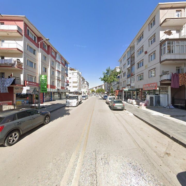 Fotoğraf 8