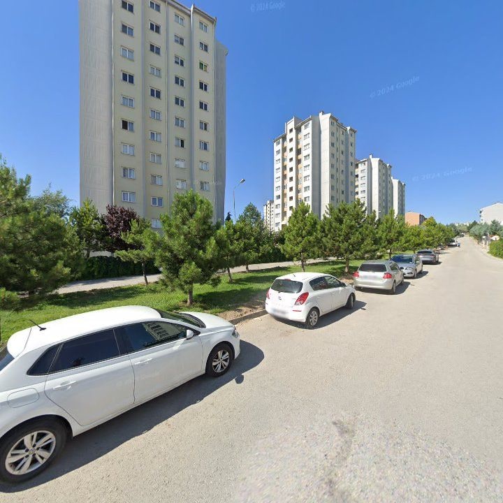 Fotoğraf 8