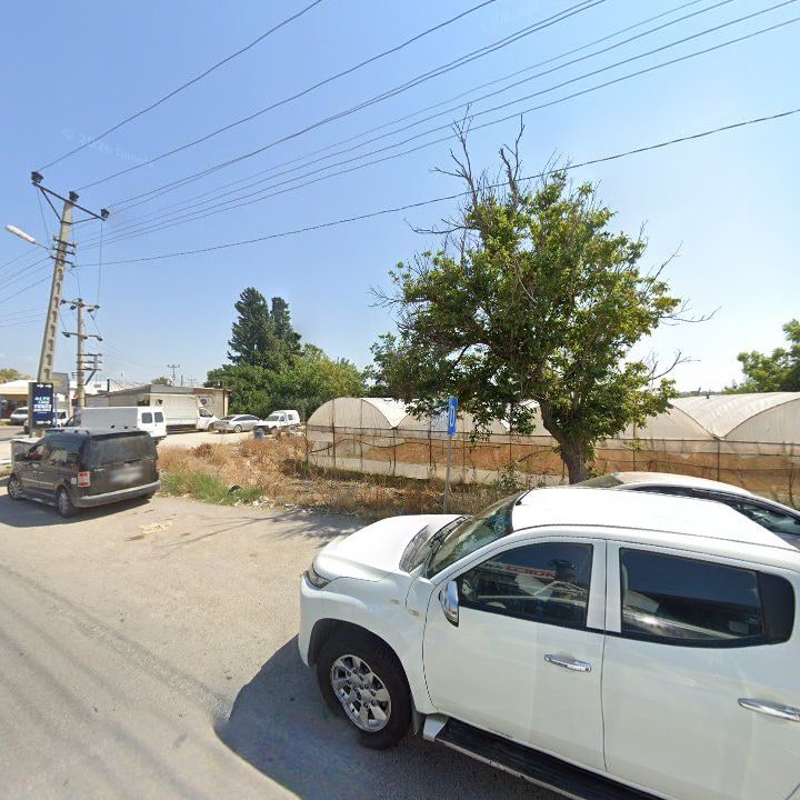 Fotoğraf 10