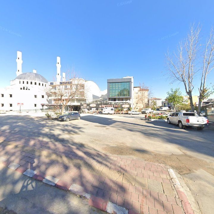 Fotoğraf 19