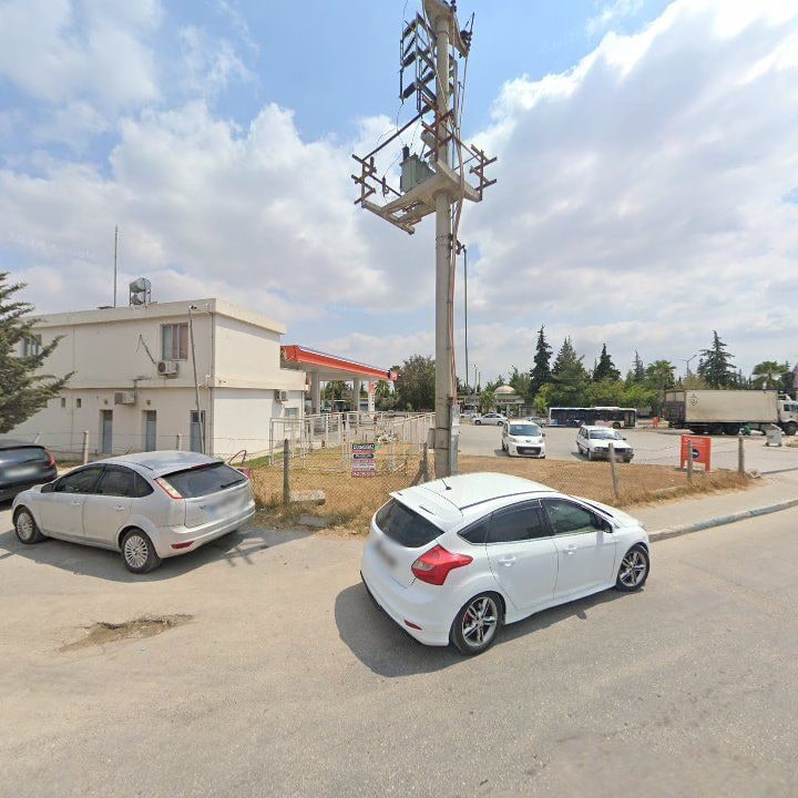 Fotoğraf 7