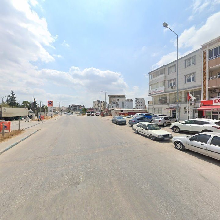 Fotoğraf 8