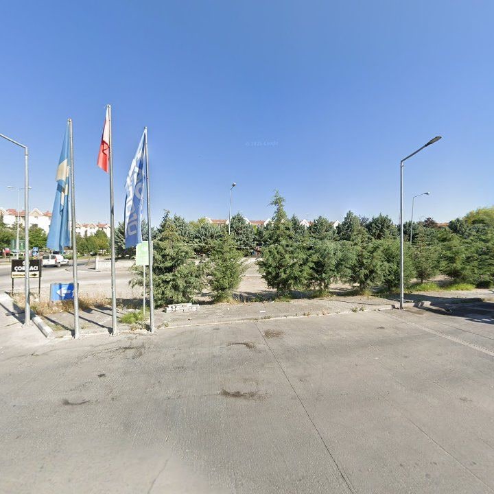 Fotoğraf 12