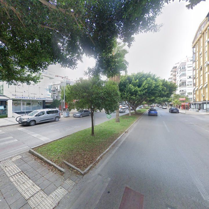 Fotoğraf 11