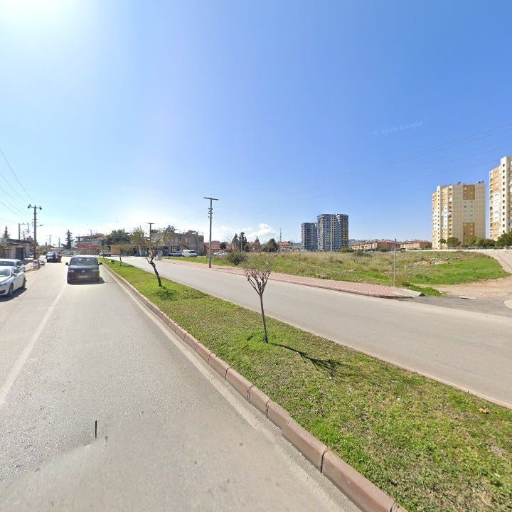 Fotoğraf 6