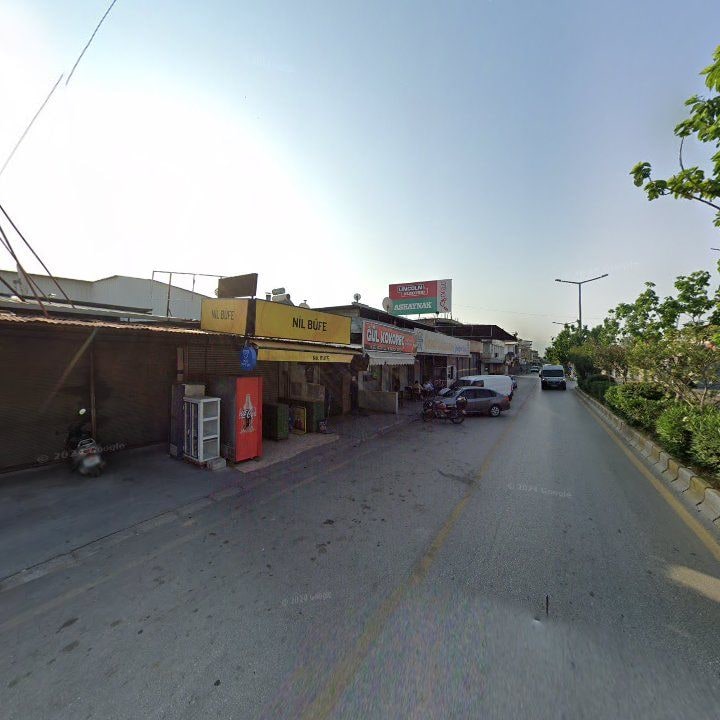 Fotoğraf 6