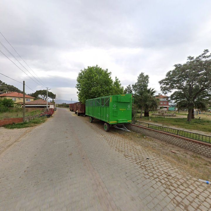 Fotoğraf 10