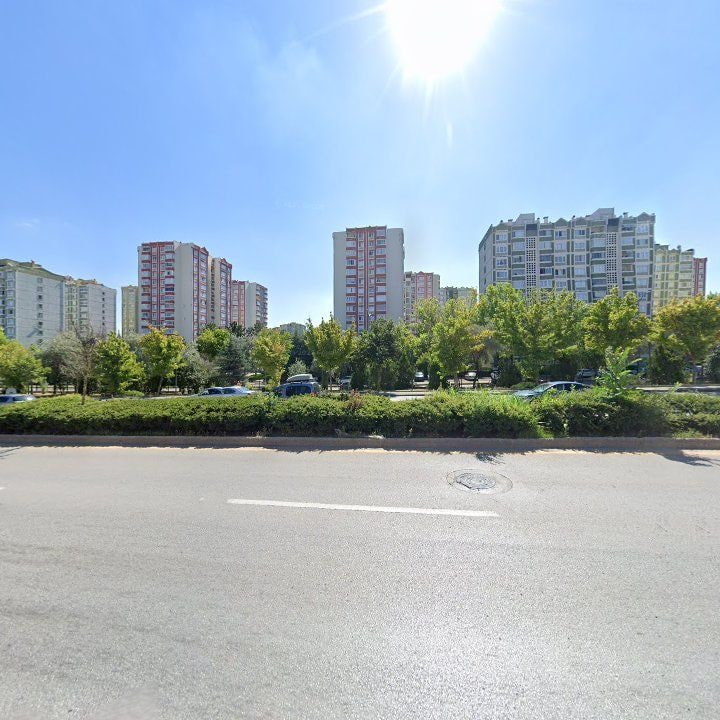 Fotoğraf 11