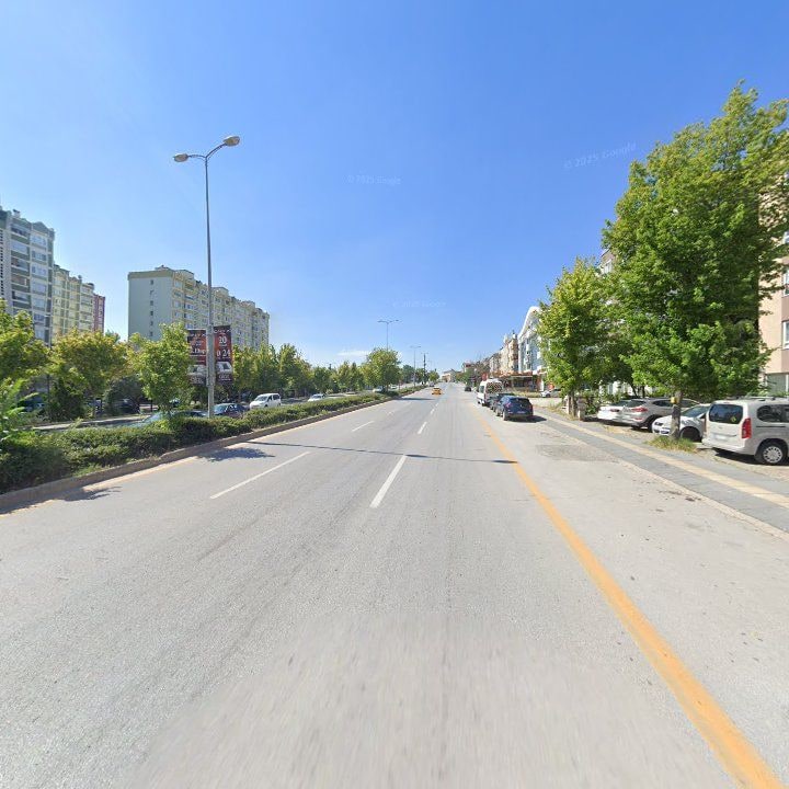 Fotoğraf 12