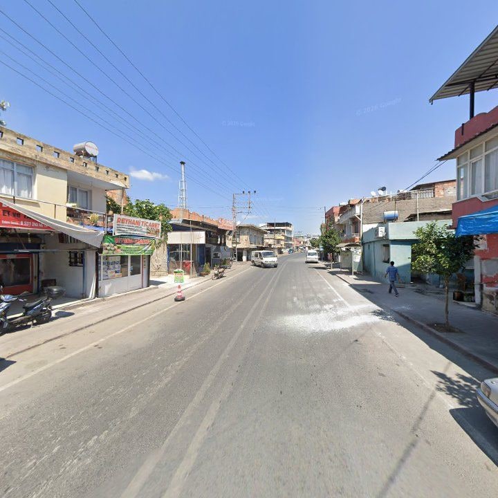 Fotoğraf 9