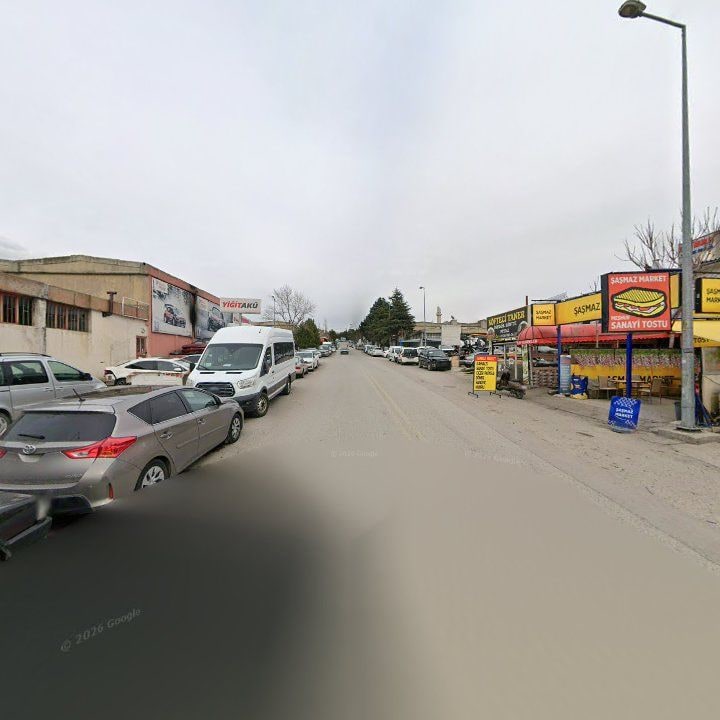 Fotoğraf 9