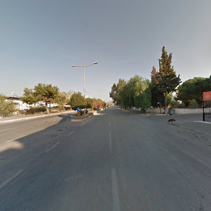 Fotoğraf 14
