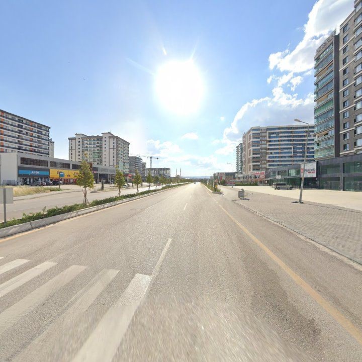 Fotoğraf 8