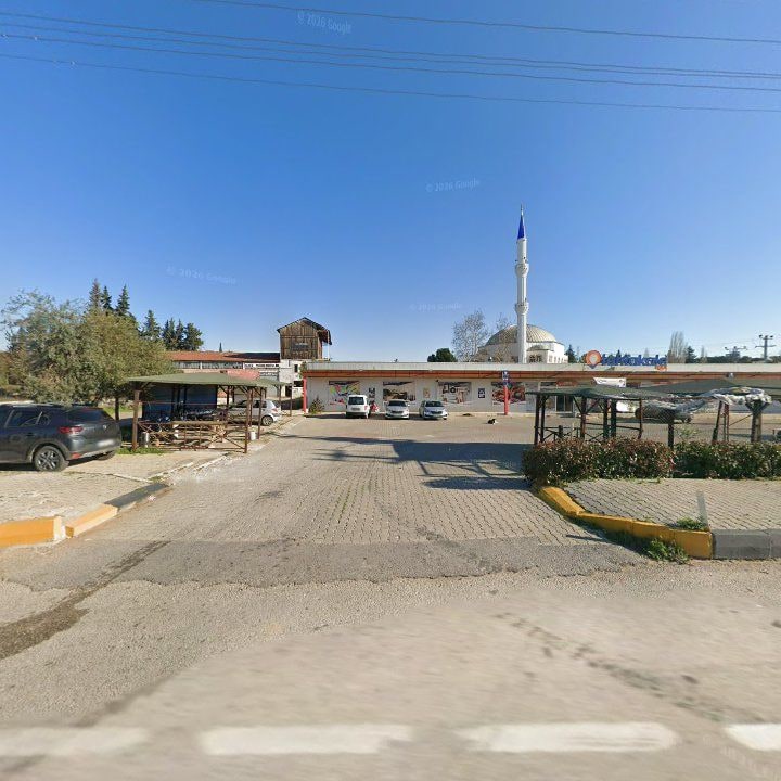 Fotoğraf 5