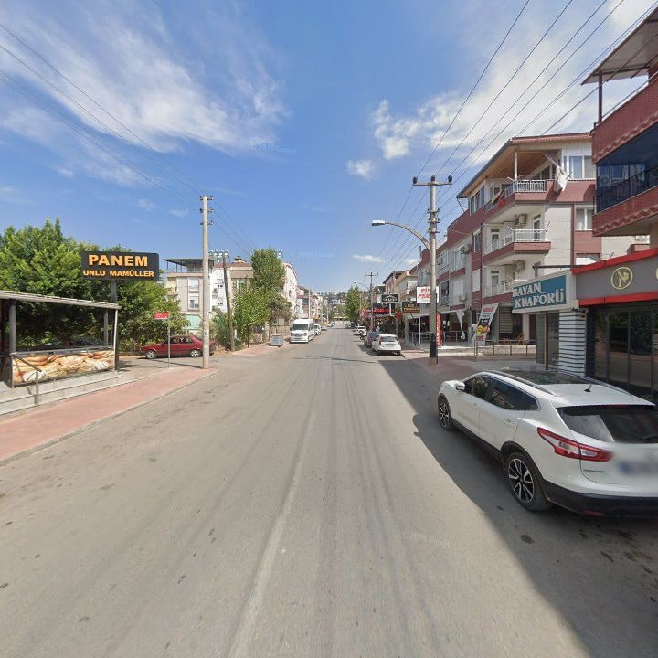 Fotoğraf 7
