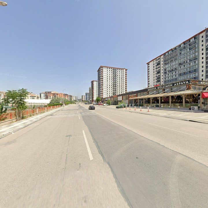Fotoğraf 17