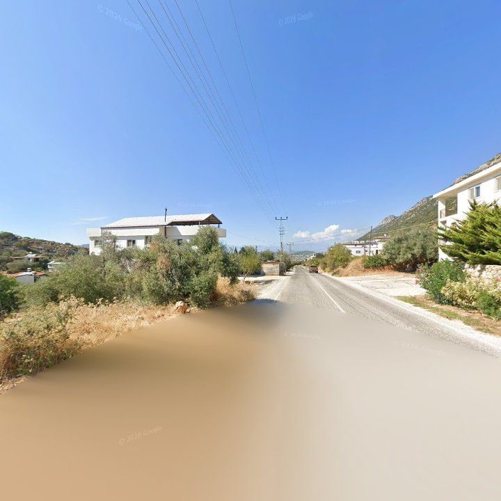 Fotoğraf 9