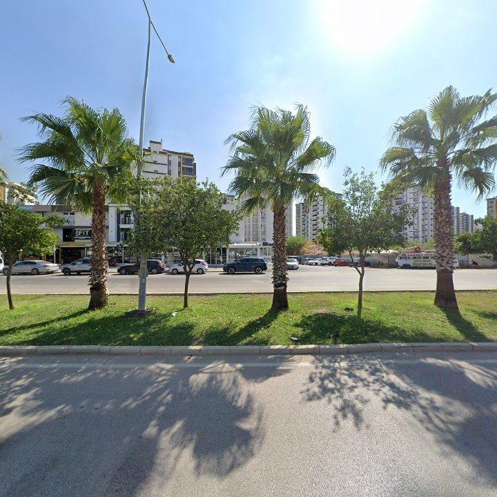 Fotoğraf 6